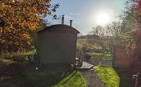 Hut In The Glade, Shepherds Hut With Hot Tub